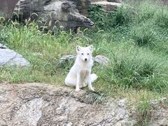 -杭州野生动物世界