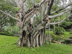 -云溪植物园