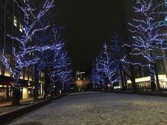 -北海道厅旧本厅舍(旧本庁舎)