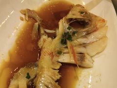 -全聚德(上海首店浦东店)