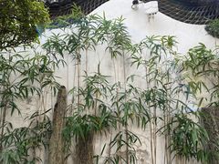 -豫园
