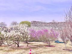 -北京明城墙遗址公园