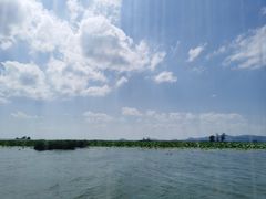 -微山湖红荷湿地景区