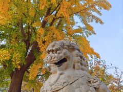 -北京石刻艺术博物馆(五塔寺)