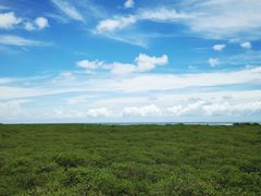 -北海金海湾红树林生态旅游区