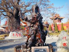 -大槐树寻根祭祖园