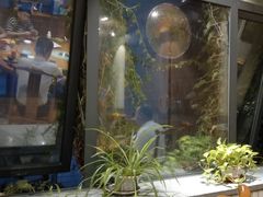 -食欲老院子荆芥疙瘩汤(经五路店)