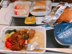-新加坡航空公司(ION)