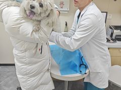 -美联众合爱康动物医院•复杂内科•肿瘤科•牙科•腔镜诊疗中心