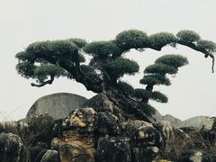 -南通洲际绿博园