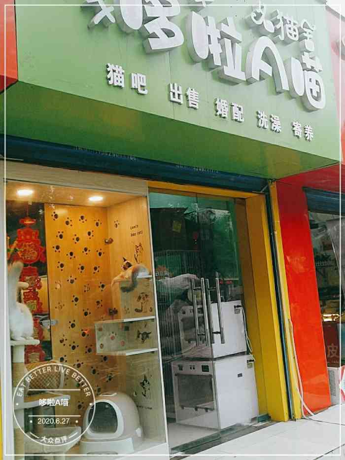 【项目】食品用品猫咪品相都很好,老板人也不错.