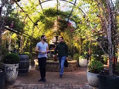 -The Grounds of Alexandria