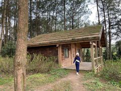-重庆雨台山风景区
