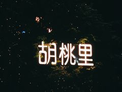 -胡桃里音乐酒馆(东区店)