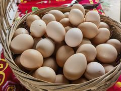 -马陆小张葡萄园农家乐