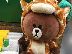-line friends(明洞旗舰店)