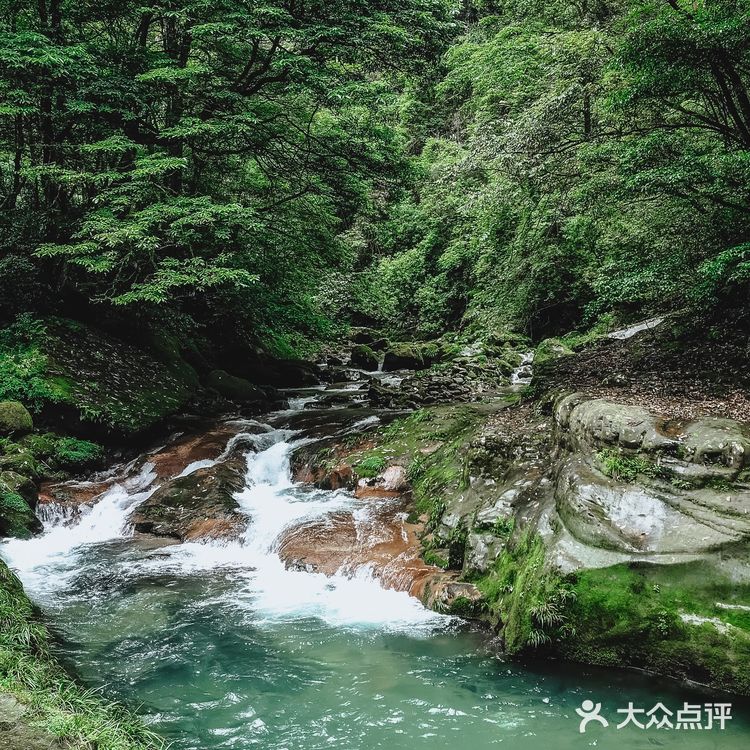 张家界国家森林公园·零基础上手轻松玩转😁