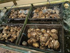 -东城食府·手工点心·37年老字号(虎门店)