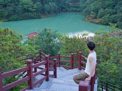 -广州白江湖森林公园