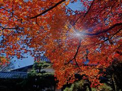 -常寂光寺