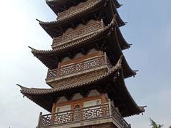 -嘉定紫藤园