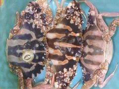 -八方海味餐厅