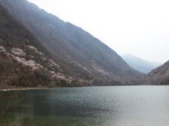 -叠溪松坪沟景区