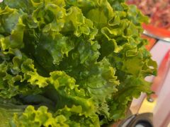 -杨记齐齐哈尔烤肉(总店)