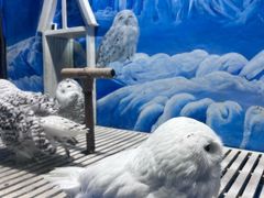 -成都浩海立方海洋公园