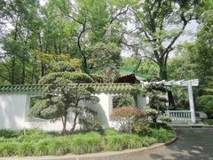 -中山公园