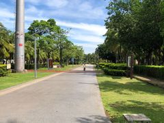 -万绿园