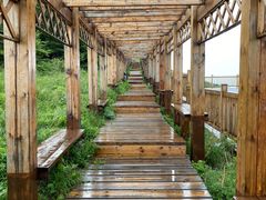 -白草畔自然风景区