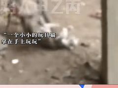 -昆明动物园