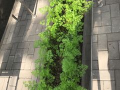-北戴河集发农业梦想王国
