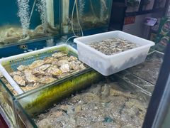 -九层海鲜塔(市南店)