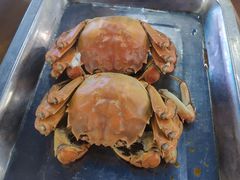 大閘蟹（约11.5cm）-蚝得喜海鲜(东城店)