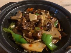 小锅杂菌煲-缘生态云南菜·野生菌庭院餐厅(华侨城店)