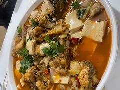 -煲来饱去冷水鱼