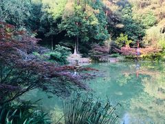 -铁山坪森林公园