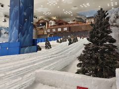 -湘江欢乐城欢乐雪域