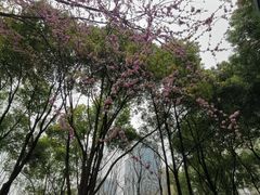 -后襄河公园