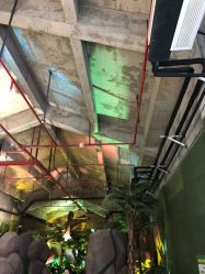 -恐龙探索乐园(磁器口店)