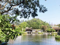 -顺峰山公园