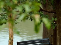 -佛冈森波拉度假区