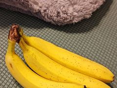 -鲜丰水果(杭州闲林山水店)