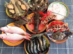-鸿港海鲜批发市场