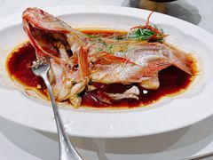 -湖北三五醇酒店·35年新楚菜