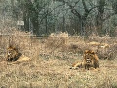 -西安秦岭野生动物园