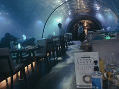 -海棠湾洲际-涛·海底餐厅·美人鱼·自助餐·海底隧道