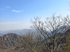-大岭沟猕猴桃谷风景区